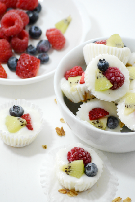 Frozen Fruity Yogurt Bites